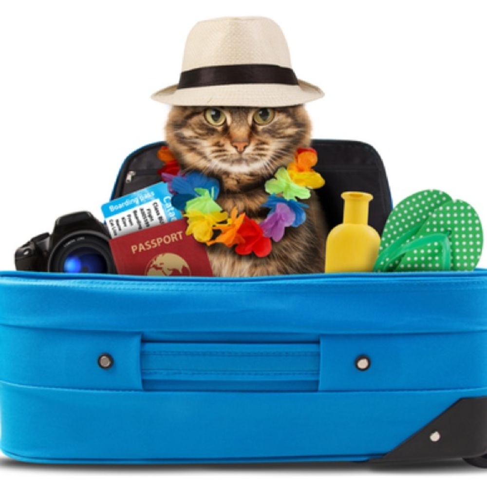📦 On Vacation — Closet Closed Until June 12th 🌴